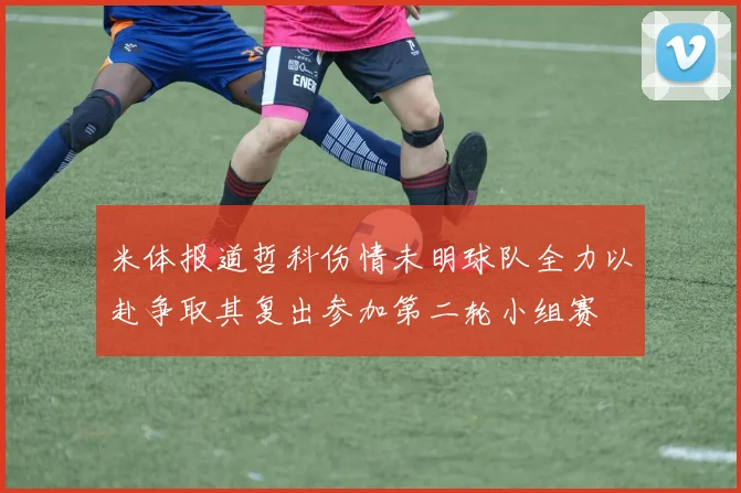 米体报道哲科伤情未明球队全力以赴争取其复出参加第二轮小组赛