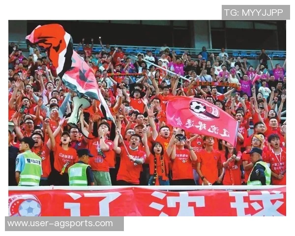 致敬石家庄铁人球迷你们与我们共度风雨携手并肩永远是最棒的第十二人